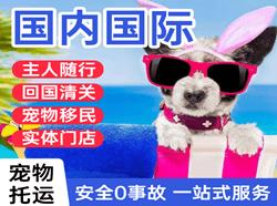 忻州机场邮寄国际宠物托运 【国